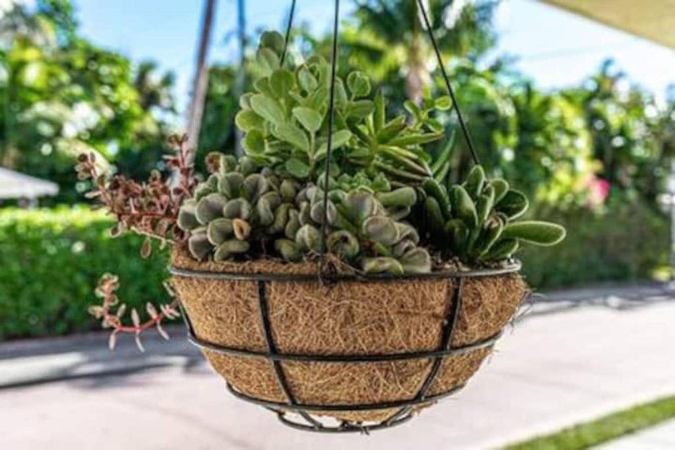 Olive Apart Unit 1 By Pmi West Palm Beach Eksteriør billede